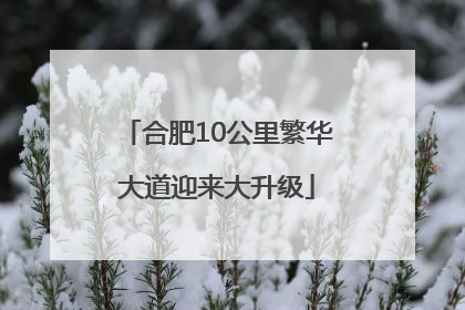 合肥10公里繁华大道迎来大升级